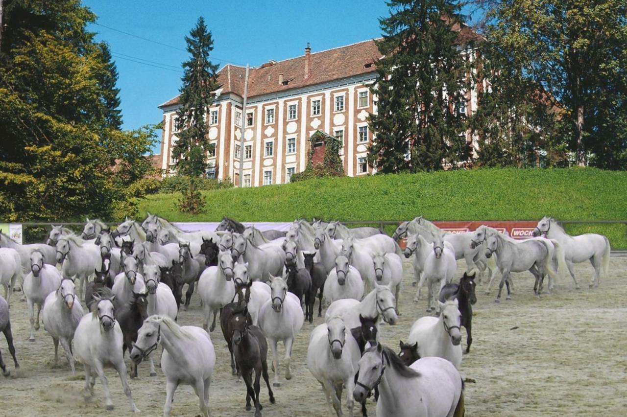 Willa Haus Soeding Soding Zewnętrze zdjęcie